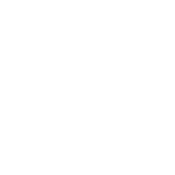 qr order and payment
